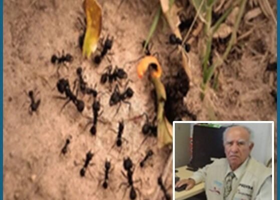 Tláhuac: crítica a funcionarios de MORENA por abandono de demandas ciudadanas