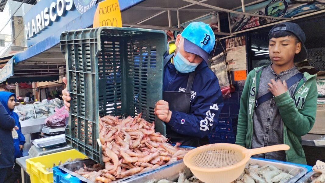 Estado de México intensifica inspecciones sanitarias en comercios de pescados