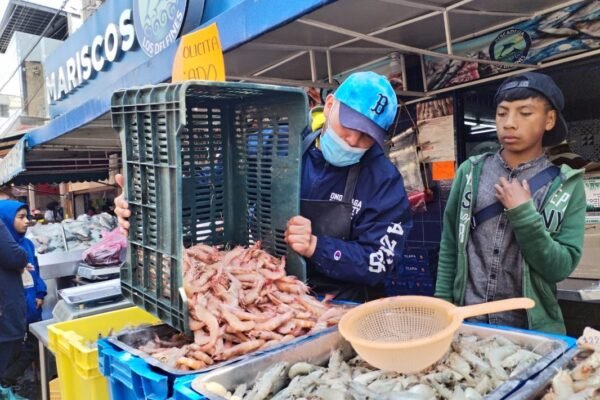 Estado de México intensifica inspecciones sanitarias en comercios de pescados