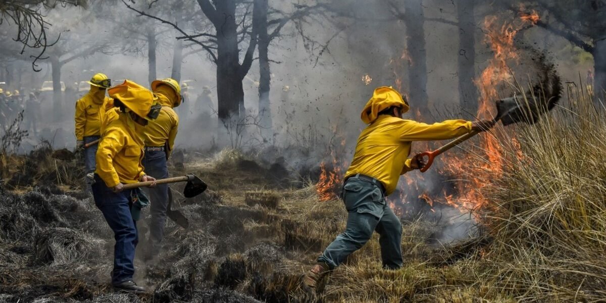Estado de México instala 51 comités para combatir incendios forestales