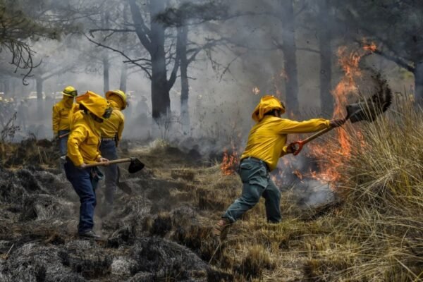 Estado de México instala 51 comités para combatir incendios forestales