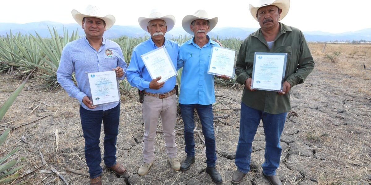 Cuatro mezcales mexiquenses obtienen Denominación de Origen