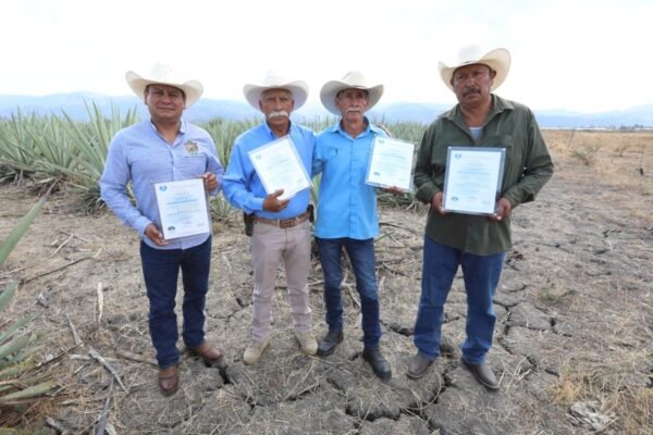 Cuatro mezcales mexiquenses obtienen Denominación de Origen