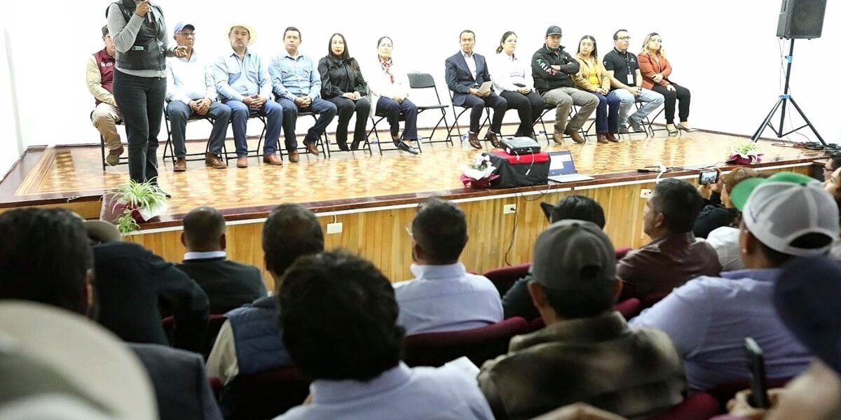 Estado de México refuerza vigilancia contra gusano barrenador tras caso en Atlacomulco