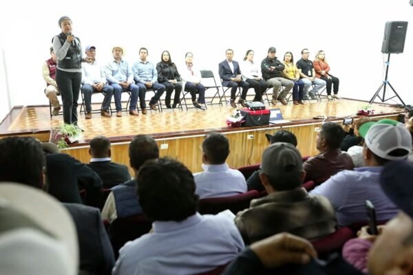 Edomex refuerza vigilancia contra el gusano barrenador tras caso en Atlacomulco