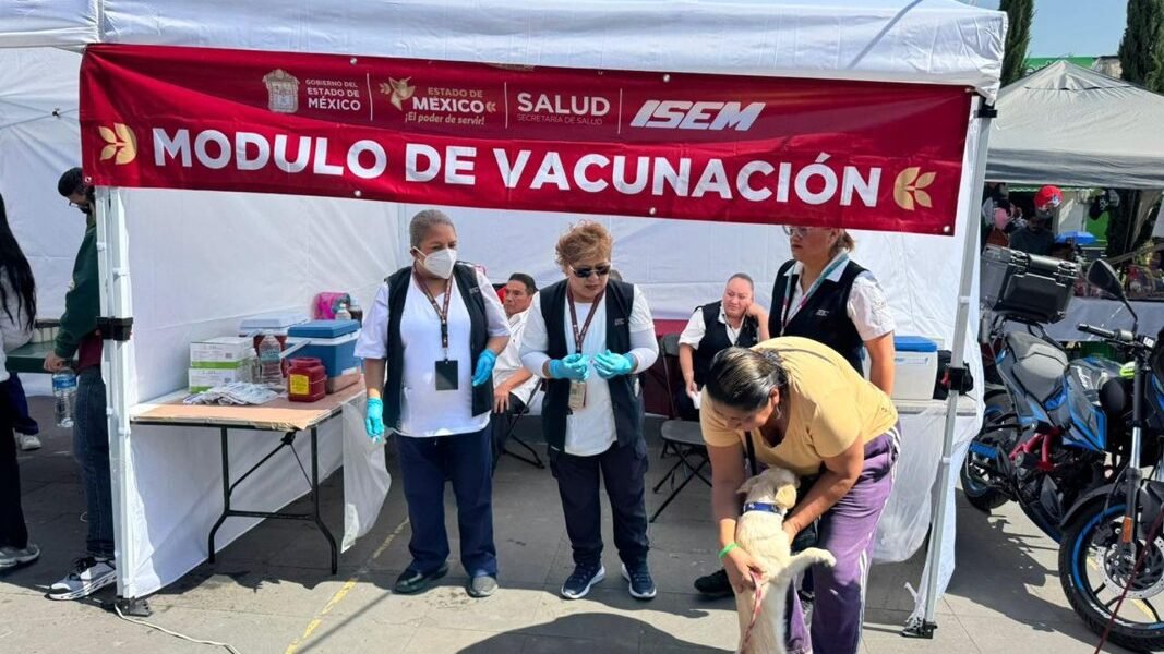 Estado de México aplica 707 mil dosis de vacuna antirrábica en mascotas