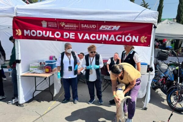 Estado de México aplica 707 mil dosis de vacuna antirrábica en mascotas