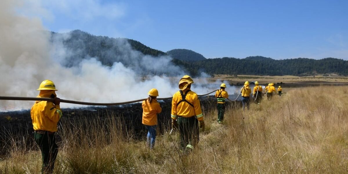 Estado de México intensifica quema controlada para prevenir incendios forestales