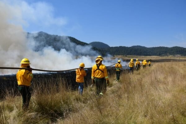 Estado de México intensifica quema controlada para prevenir incendios forestales