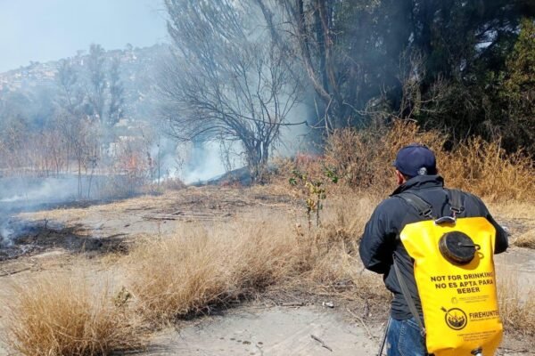 Estado de México reduce incendios forestales en 52% con estrategia interinstitucional