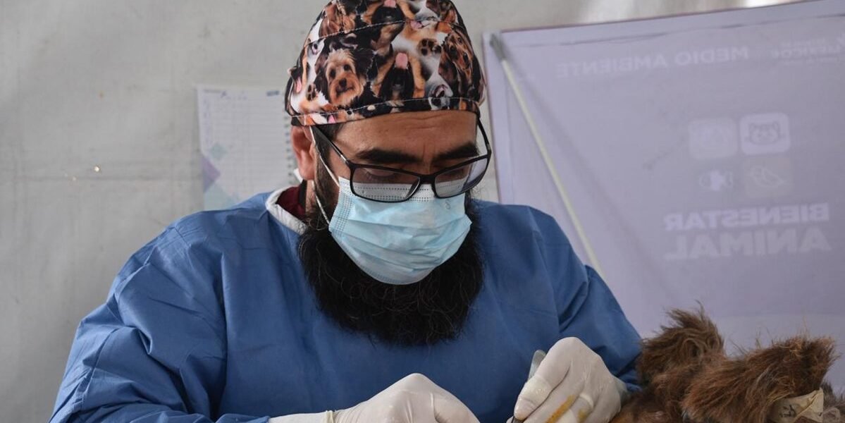 Estrategia CERA llega a Mexicaltzingo: servicios veterinarios gratuitos para mascotas
