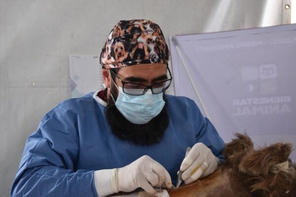 Estrategia CERA llega a Mexicaltzingo: servicios veterinarios gratuitos para mascotas