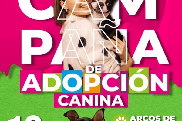 Amecameca abre sus puertas para adoptar: jornada canina este 18 de abril