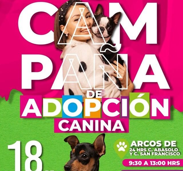 Amecameca abre sus puertas para adoptar: jornada canina este 18 de abril