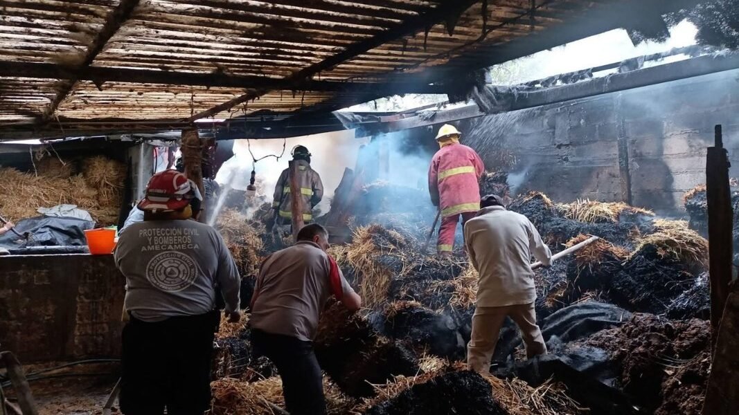 Bomberos de Amecameca sofocan incendio sin víctimas gracias a respuesta coordinada