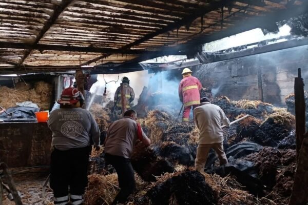 Bomberos de Amecameca sofocan incendio sin víctimas gracias a respuesta coordinada