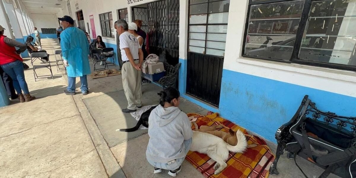 Amecameca realiza exitosa jornada de esterilización animal en Santiago Cuauhtenco
