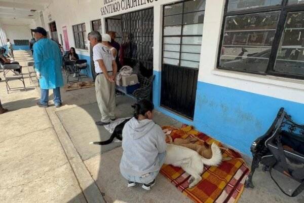 Amecameca realiza exitosa jornada de esterilización animal en Santiago Cuauhtenco