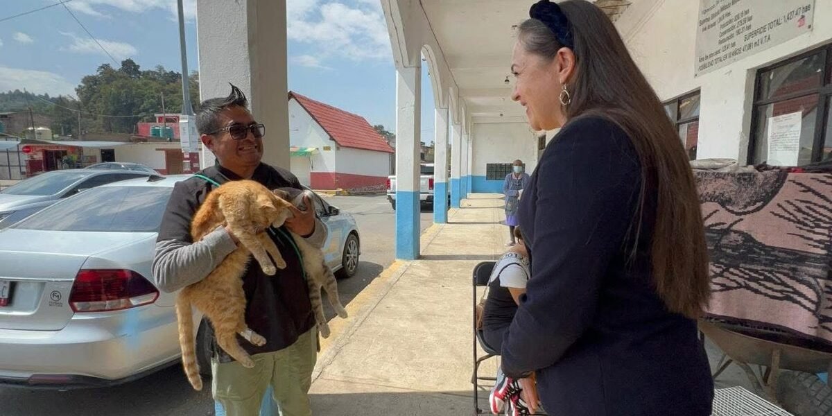 Amecameca realiza exitosa jornada de esterilización para perros y gatos
