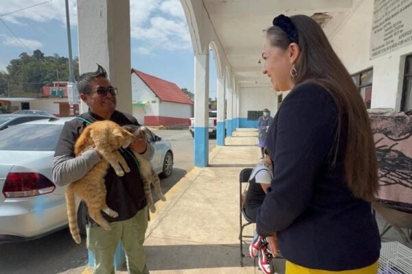 Amecameca realiza exitosa jornada de esterilización para perros y gatos
