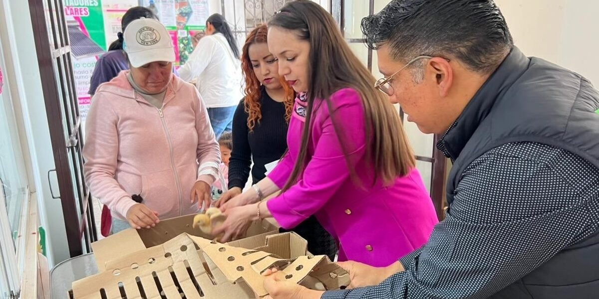 Amecameca apoya a microemprendedores con paquetes de aves de traspatio