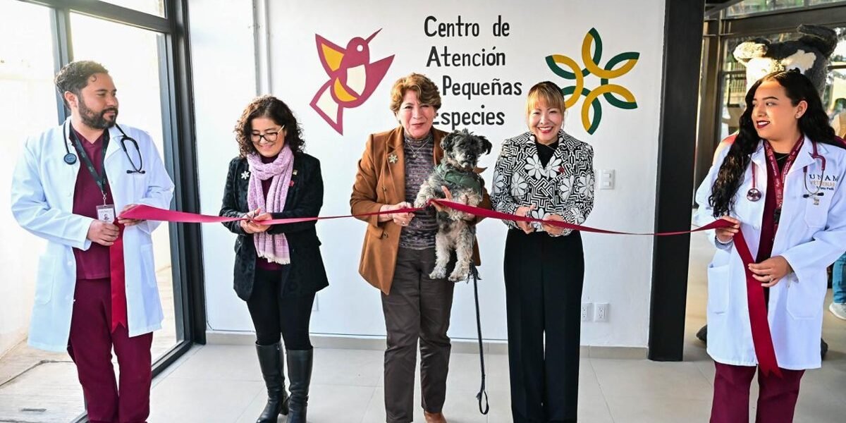 Estado de México aprueba ley histórica de protección animal con sanciones severas