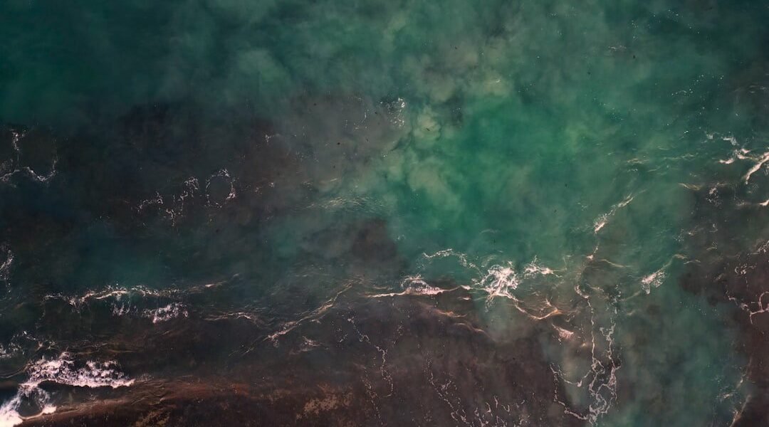 Golfo de México: la persistencia del petróleo desafía a científicos