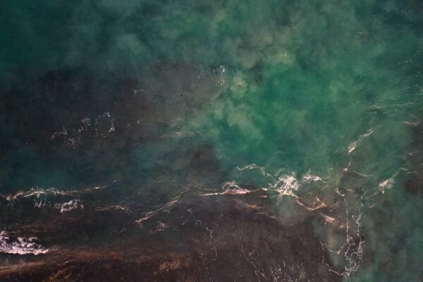 Golfo de México: la persistencia del petróleo desafía a científicos