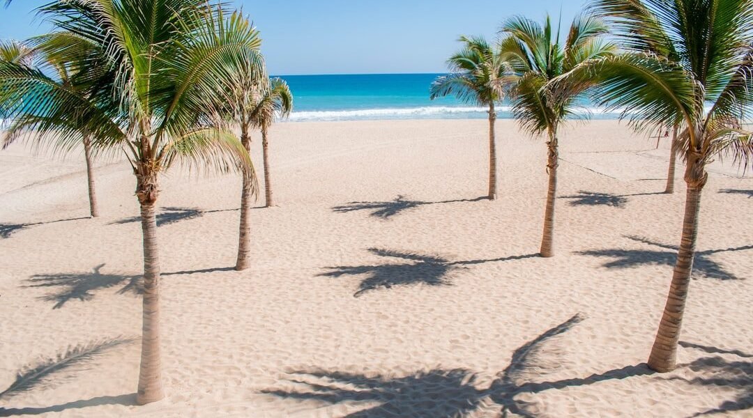 Golfo de México: coordinación interinstitucional asegura playas limpias en vacaciones