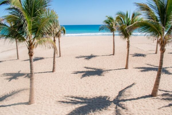 Golfo de México: coordinación interinstitucional asegura playas limpias en vacaciones