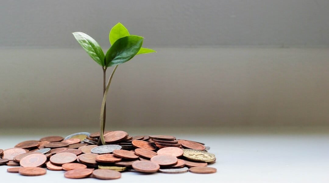 El enigma de 1.1 billones: cómo las organizaciones benéficas mexicanas gastan más de lo que reciben