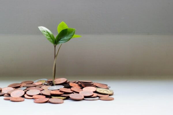 El enigma de 1.1 billones: cómo las organizaciones benéficas mexicanas gastan más de lo que reciben
