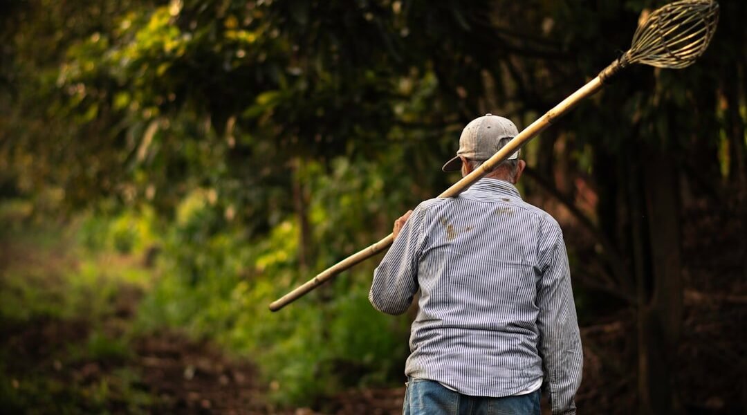 Triunfo mexicano en Francia: el cine latinoamericano denuncia la depredación