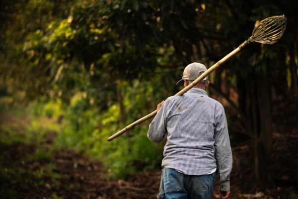 Triunfo mexicano en Francia: el cine latinoamericano denuncia la depredación