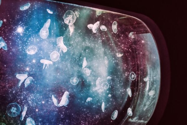 La vida como intercambio: cuando la ciencia revela nuestra interdependencia cósmica