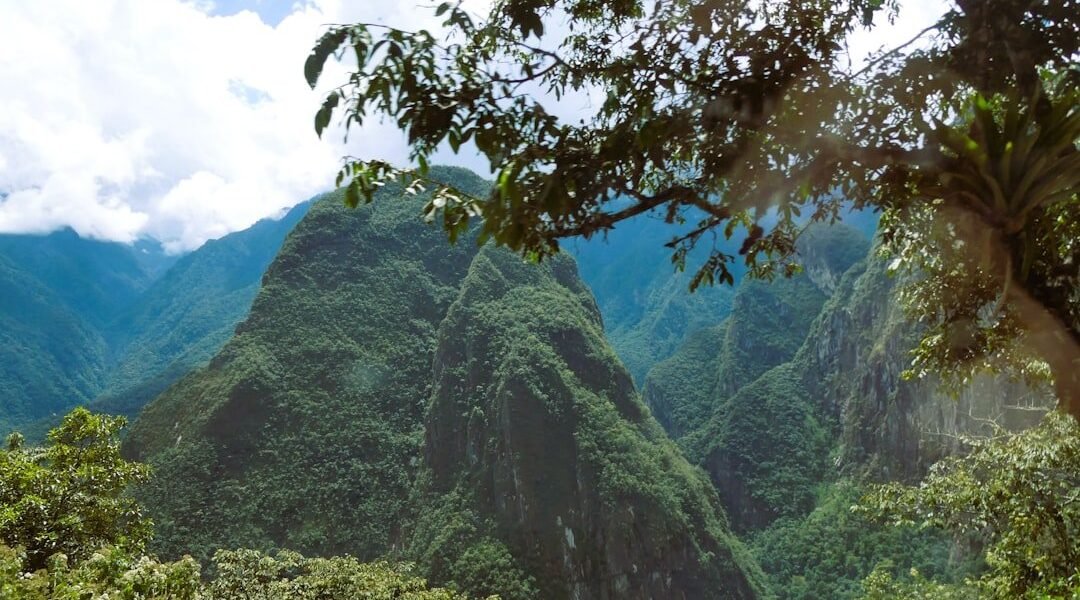 Energías limpias: por qué América Latina desperdicia su mayor ventaja