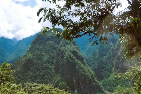 Energías limpias: por qué América Latina desperdicia su mayor ventaja