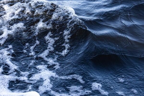 Crisis de chapopote en Veracruz: autoridades en silencio mientras playas se contaminan