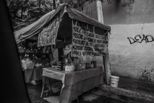 Sonora en la encrucijada: cómo México enfrenta la crisis de agua en el norte
