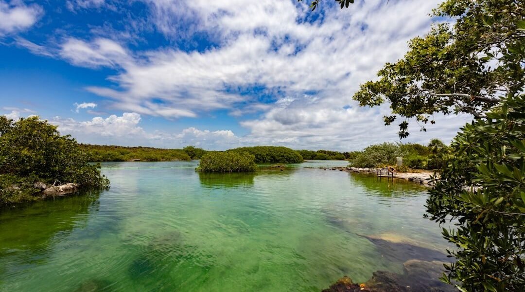 Los cenotes de Quintana Roo revelan secretos de rituales prehispánicos