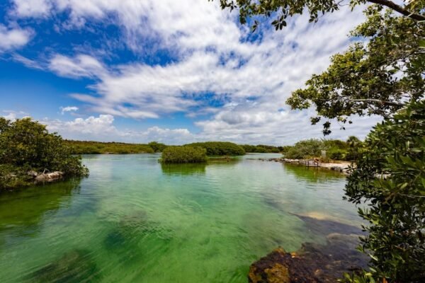 Los cenotes de Quintana Roo revelan secretos de rituales prehispánicos