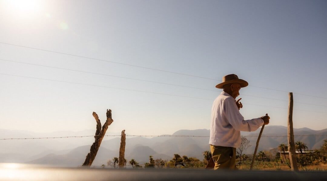 Lluvias no bastarán: México enfrenta onda de calor persistente pese a frentes fríos
