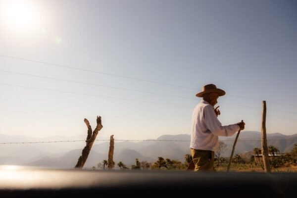 Lluvias no bastarán: México enfrenta onda de calor persistente pese a frentes fríos