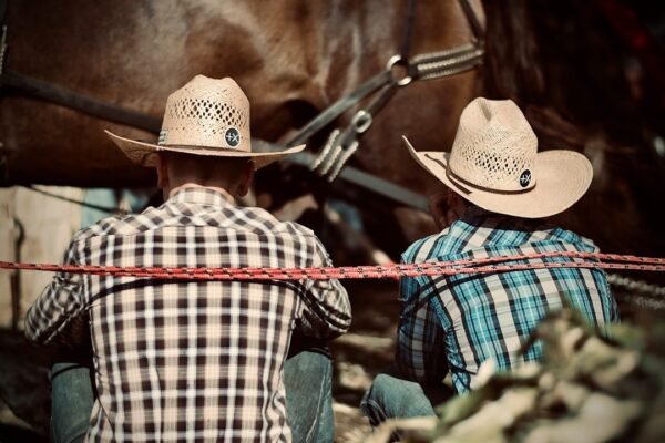 El rodeo chileno en la encrucijada: ¿tradición o crueldad animal?