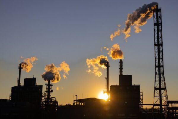 Cárdenas vuelve al petróleo: ¿nostalgia o salvavidas para Pemex?
