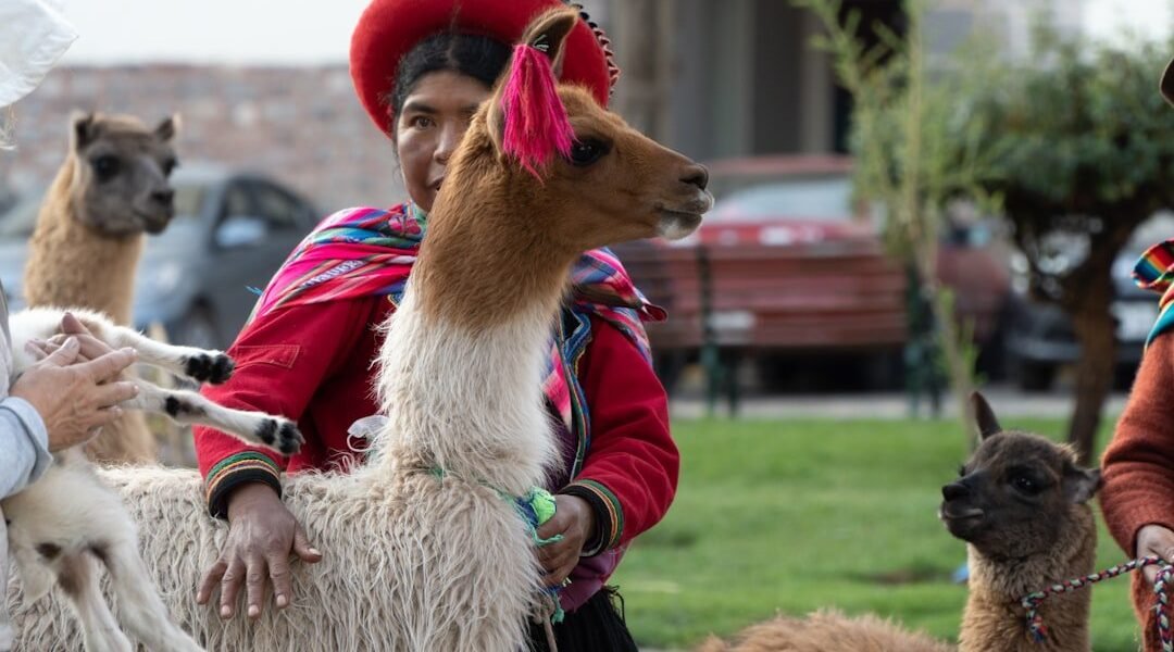 Belmont adopta estrategia de seguridad inspirada en modelo mexicano para elecciones peruanas