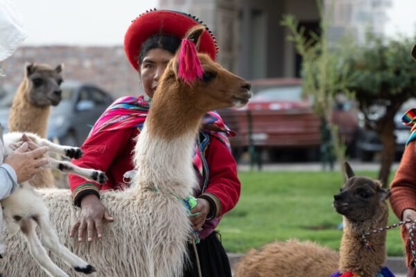 Belmont adopta estrategia de seguridad inspirada en modelo mexicano para elecciones peruanas