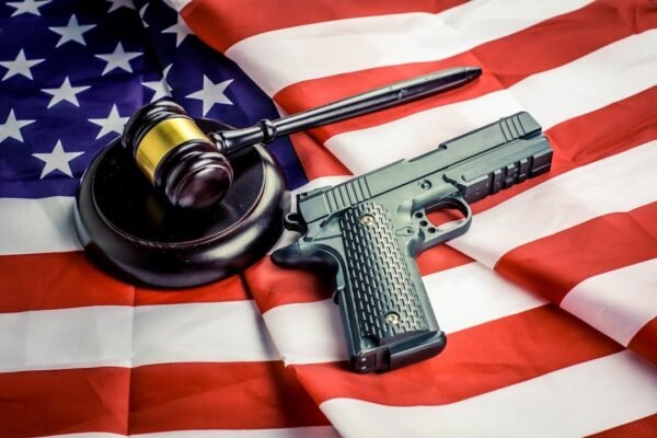 México lidera llamado en la OEA para combatir tráfico de armas en América