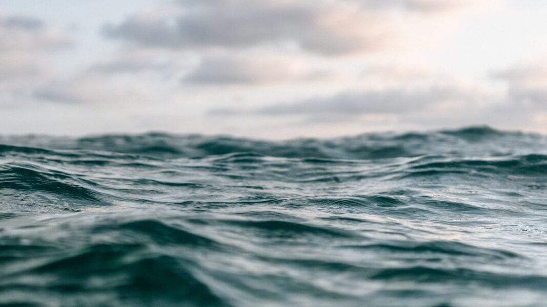 Golfo de México: cuando el silencio administrativo se convierte en cómplice