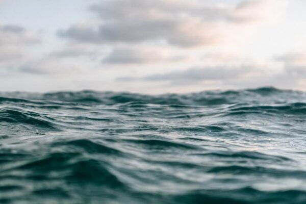 Golfo de México: cuando el silencio administrativo se convierte en cómplice